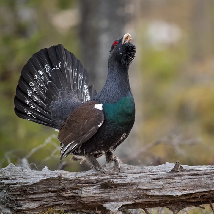 Zajecia z postprodukcji